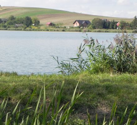 Kąpielisko w Januszowicach